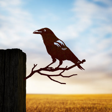 Crow